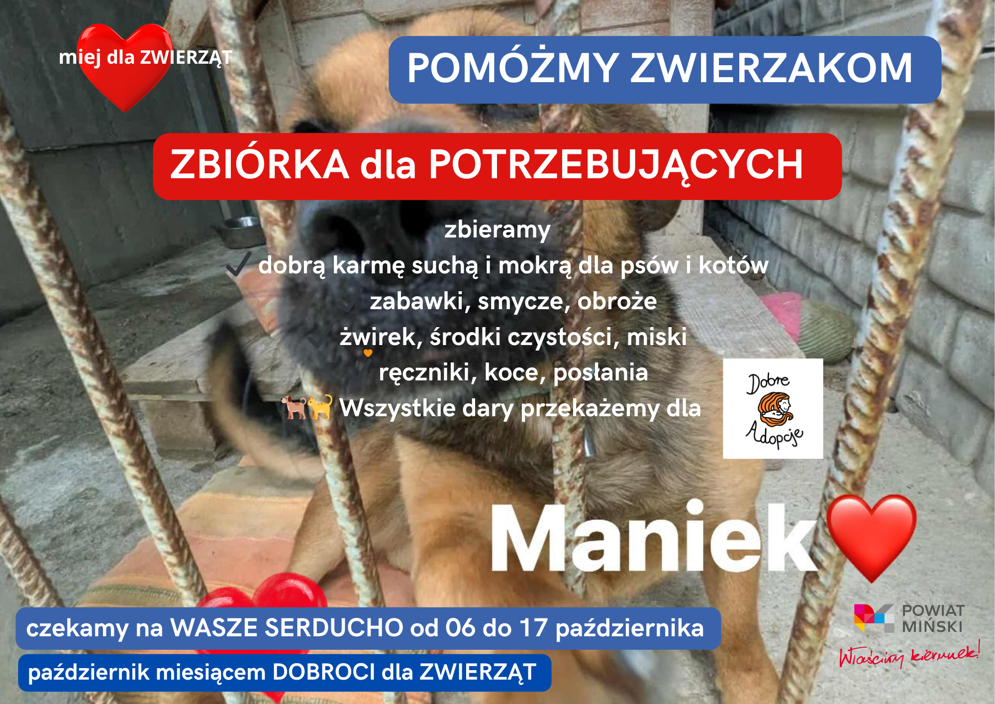 Pomóżmy zwierzakom! – zbiórka dla potrzebujących