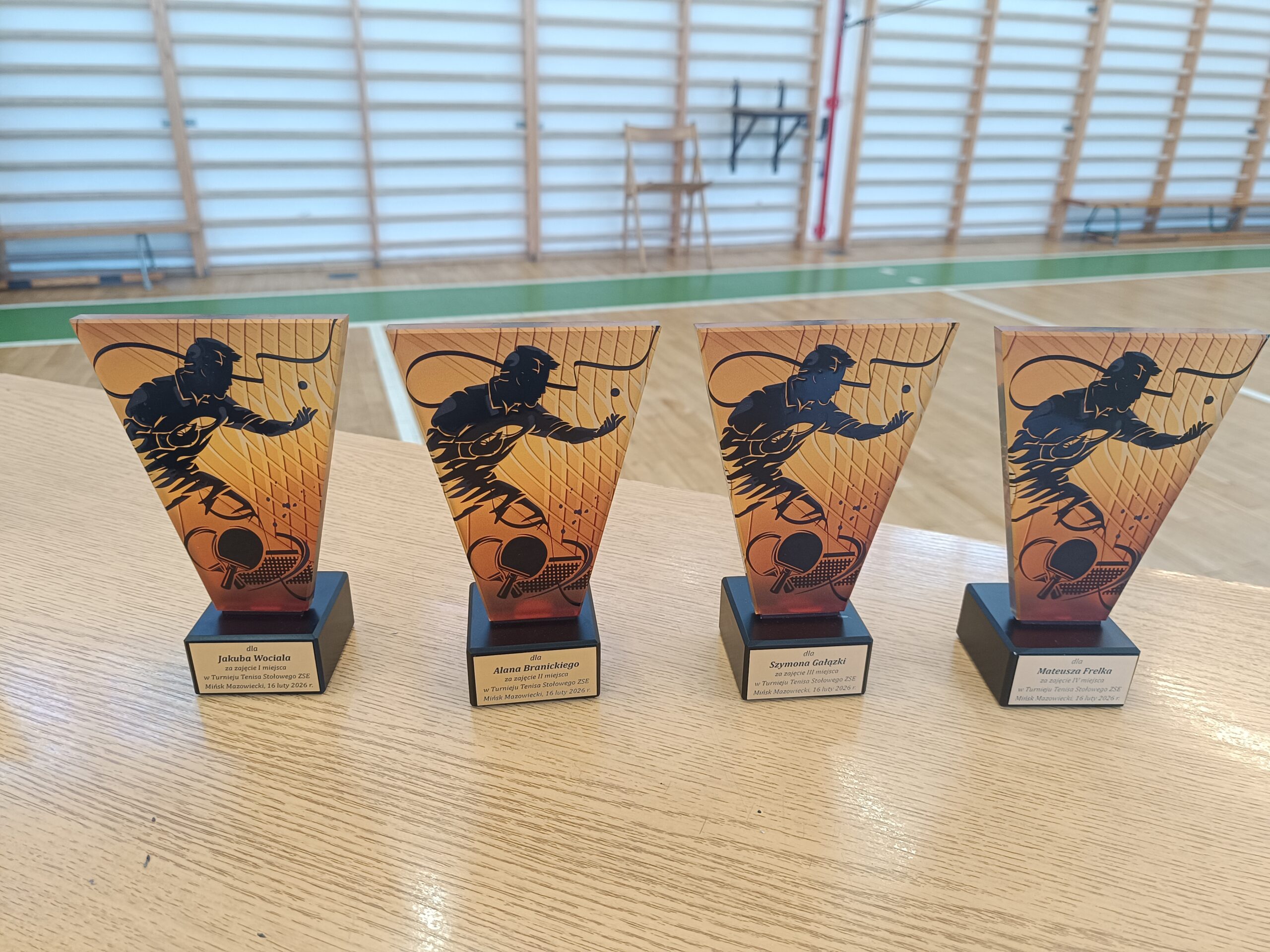 Szkolne turnieje w tenisie stołowym chłopców i dziewcząt.