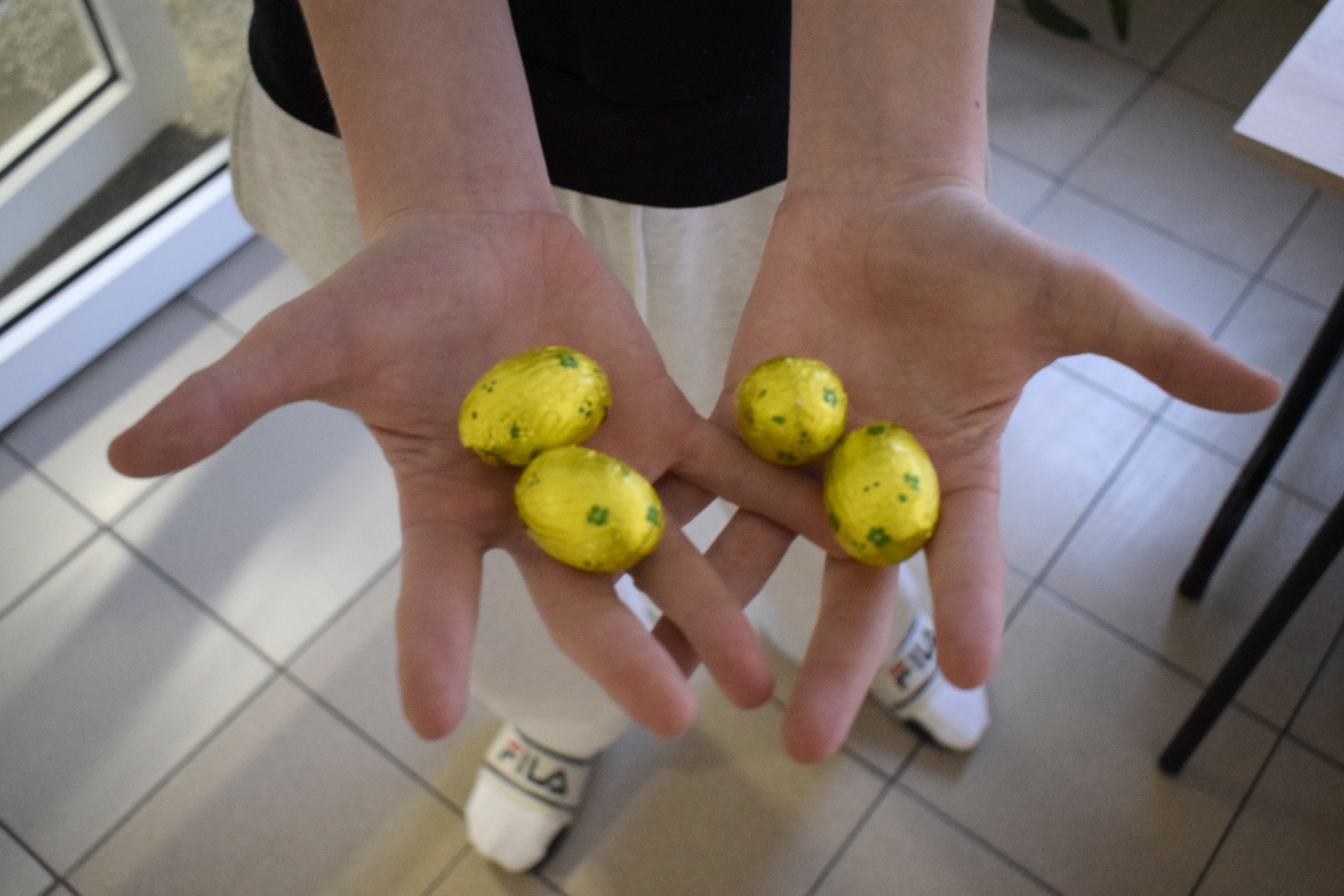 Internacki Zajączek